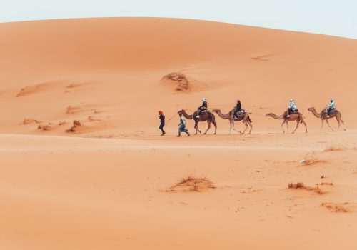 Camel trek with tourists through the sahara desert in Merzouga, Morocco. High quality photo